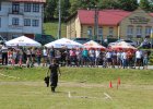 Zawody sportowo-pożarnicze - Gosprzydowa, 9.07.2017 r.