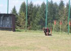 Gminne zawody sportowo-pożarnicze (10.07.2016 r.)