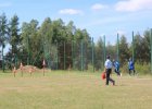 Gminne zawody sportowo-pożarnicze (10.07.2016 r.)