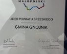 Ranking Gmin Małopolski 2020